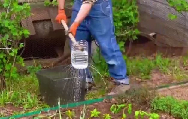 Našli sme riešenie obrovského problému pre zeleninárov: vložte tyčinku do fľaše